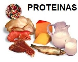 alimentos proteinas