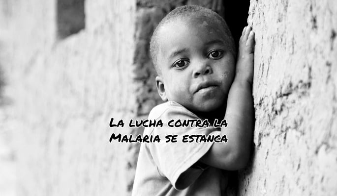 La lucha contra la Malaria se estanca