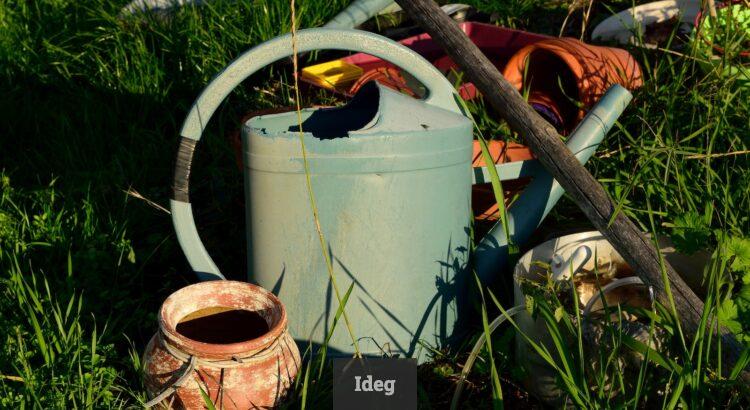 white and brown watering can on green grass