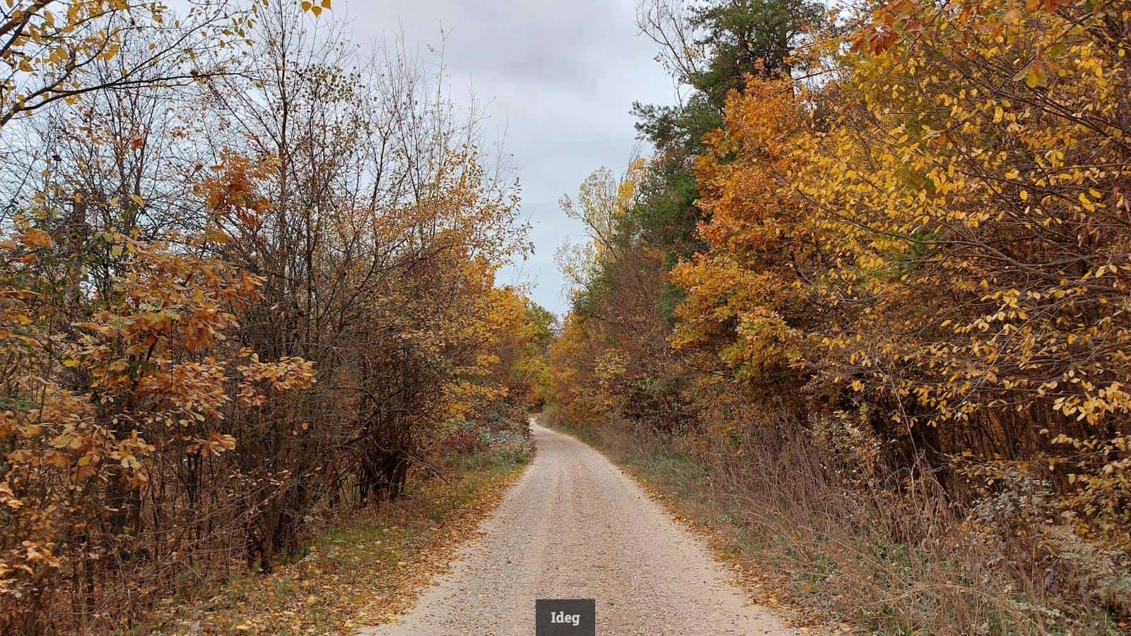 Camino